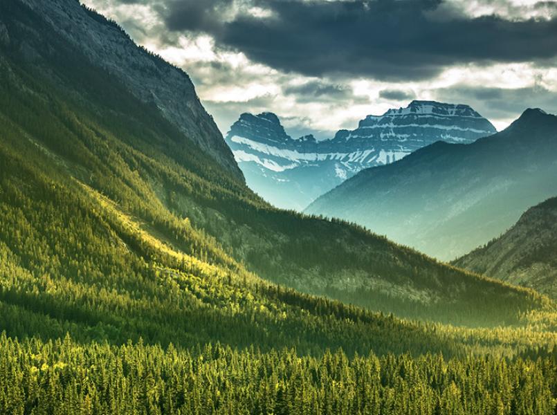 Gerflor environnement engagements carbone Gerflor environnement engagements carbone